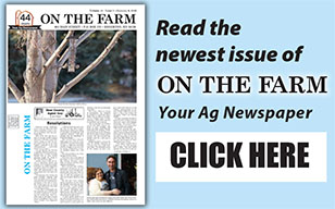 Read online